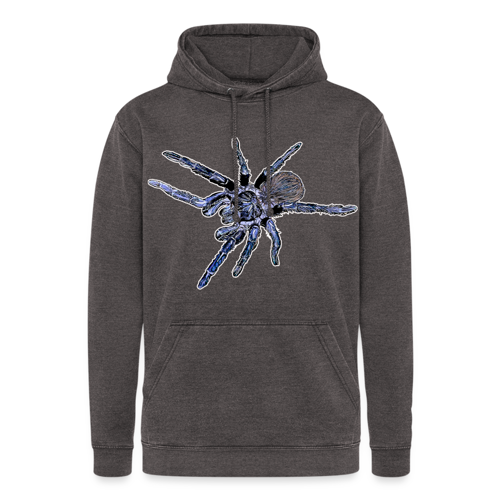 Unisex Vintage Hoodie Pterinopelma sazimai - Vintage Grau