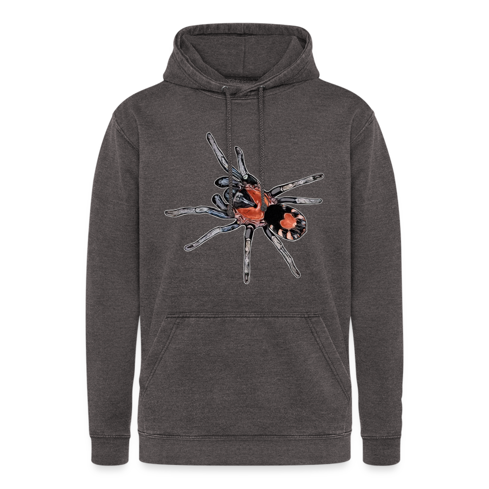 Unisex Vintage Hoodie Cyriocosmus elegans - Vintage Grau