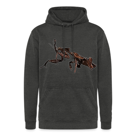 Unisex Vintage Hoodie Phyllocrania paradoxa female 2 - Vintage Schwarz