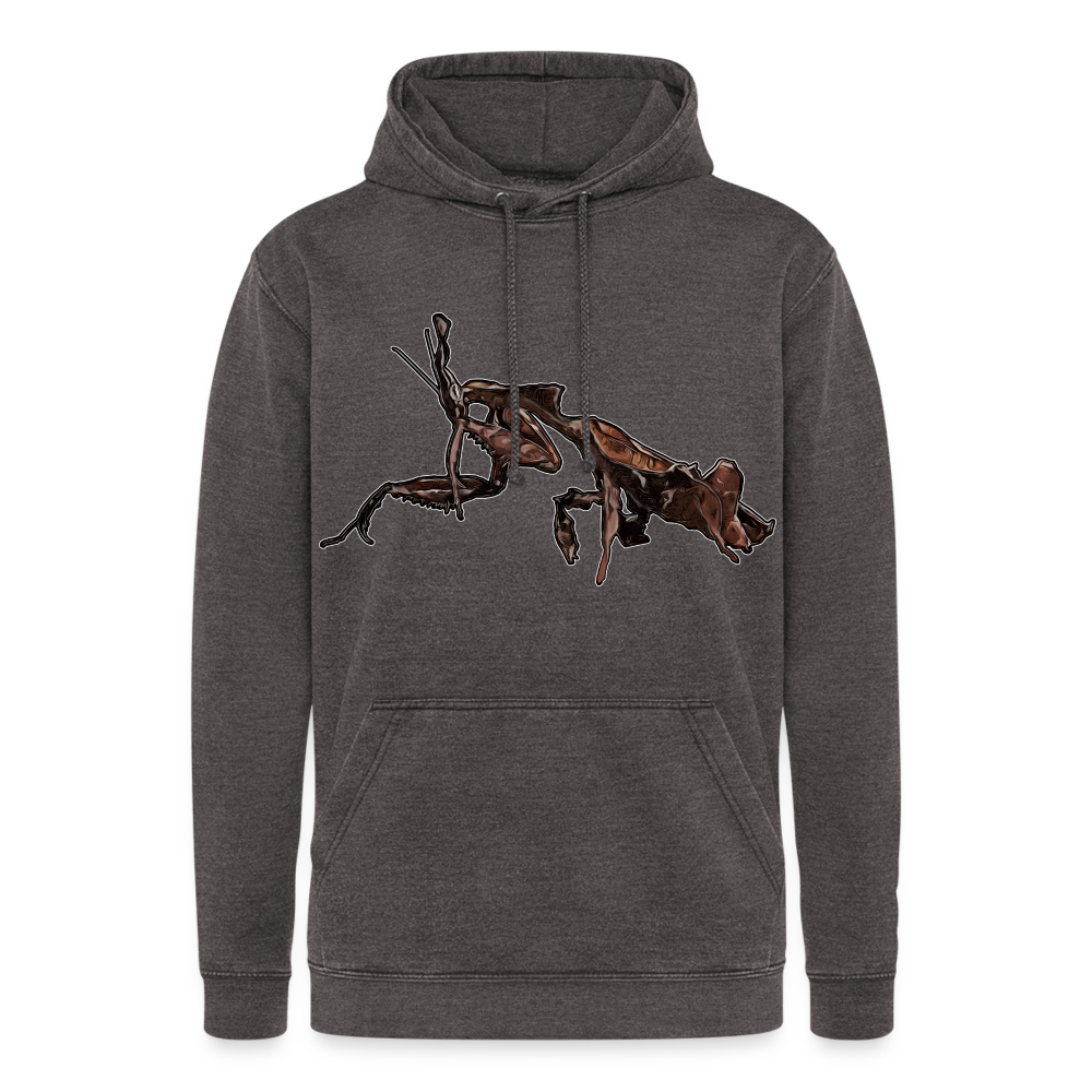 Unisex Vintage Hoodie Phyllocrania paradoxa female 2 - Vintage Grau