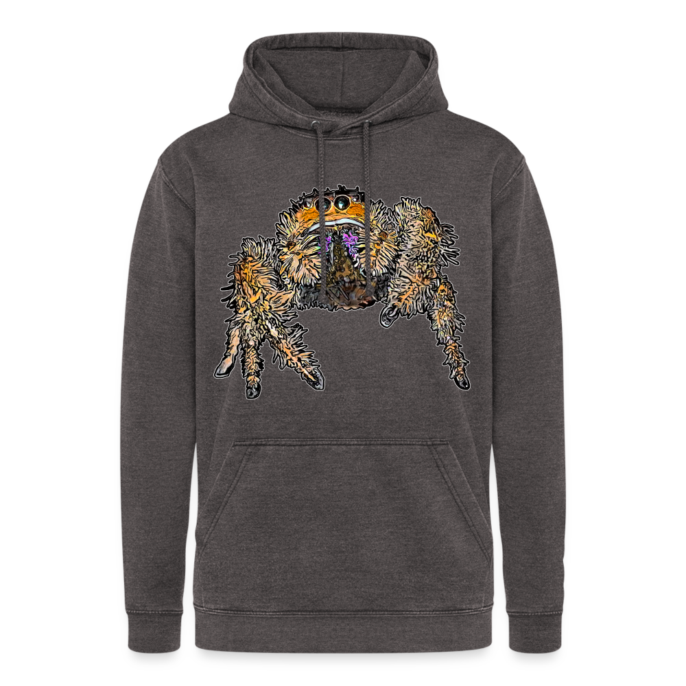 Unisex Vintage Hoodie Phidippus regius Everglades female - Vintage Grau