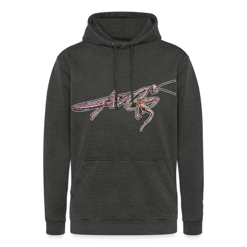 Unisex Vintage Hoodie Rhombodera kirbyi male - Vintage Schwarz