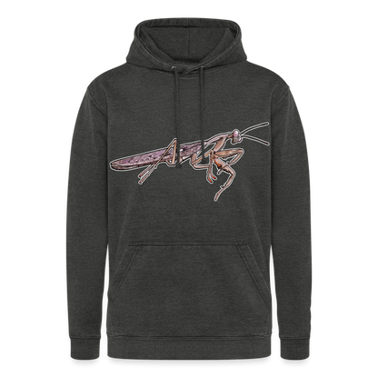 Unisex Vintage Hoodie Rhombodera kirbyi male - Vintage Schwarz