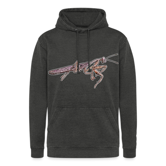 Unisex Vintage Hoodie Rhombodera kirbyi male - Vintage Schwarz