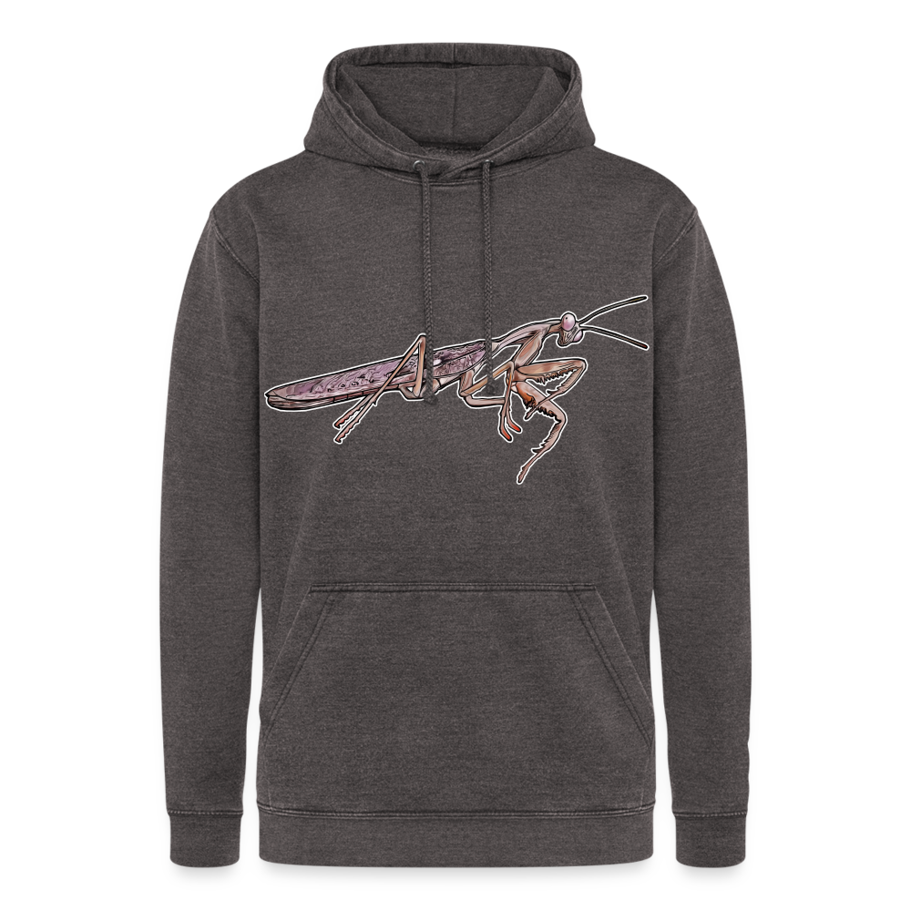 Unisex Vintage Hoodie Rhombodera kirbyi male - Vintage Grau