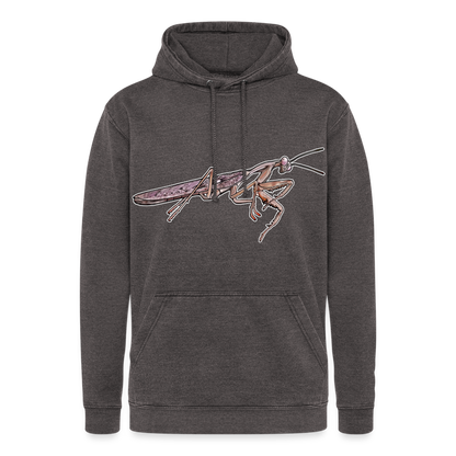 Unisex Vintage Hoodie Rhombodera kirbyi male - Vintage Grau