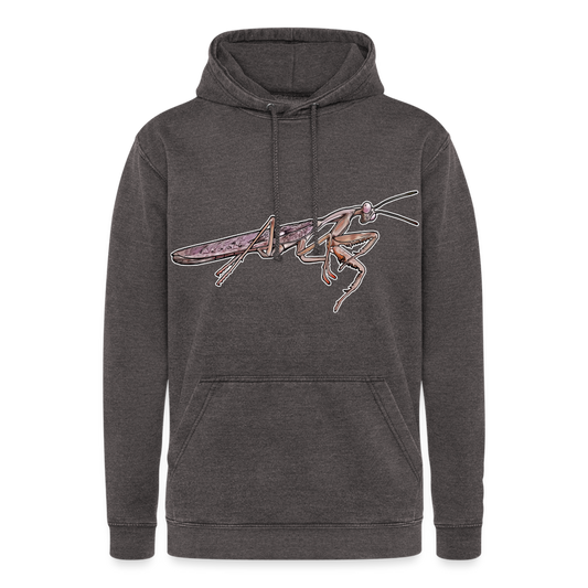 Unisex Vintage Hoodie Rhombodera kirbyi male - Vintage Grau