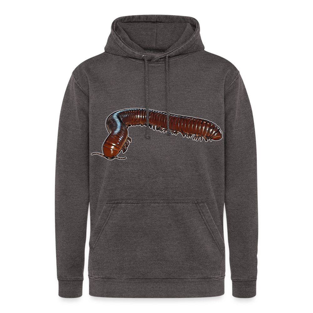 Unisex Vintage Hoodie Ophistreptus guineensis - Vintage Grau