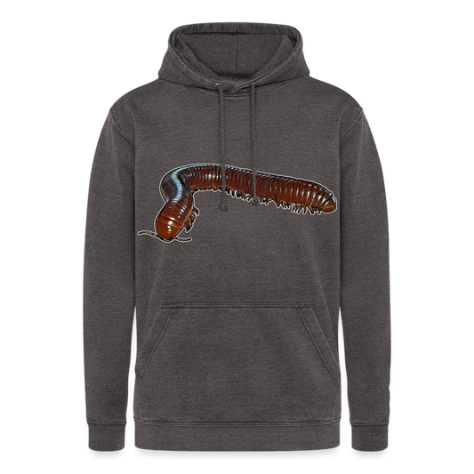 Unisex Vintage Hoodie Ophistreptus guineensis - Vintage Grau