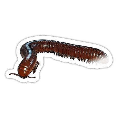 Sticker Ophistreptus guineensis - Weiß glänzend