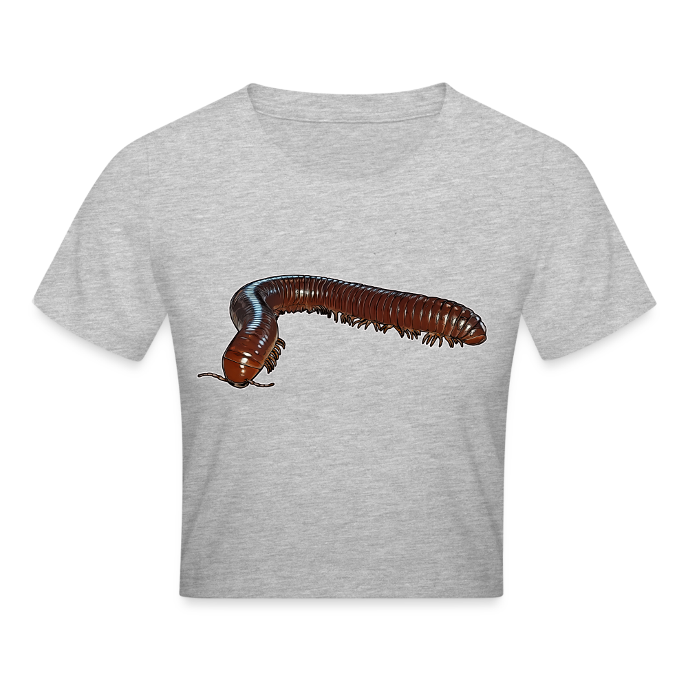 Crop T-Shirt Ophistreptus guineensis - Grau meliert