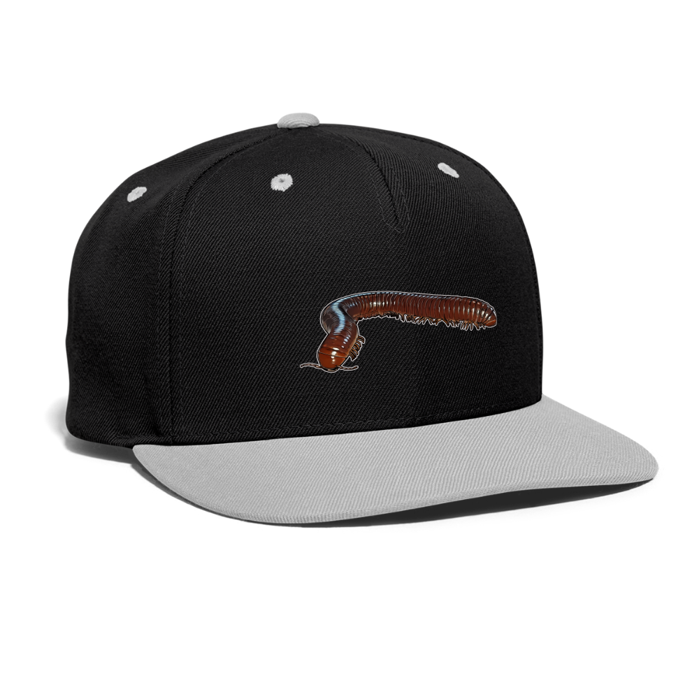 Cappy Kontrast Snapback Ophistreptus guineensis - Schwarz/Grau
