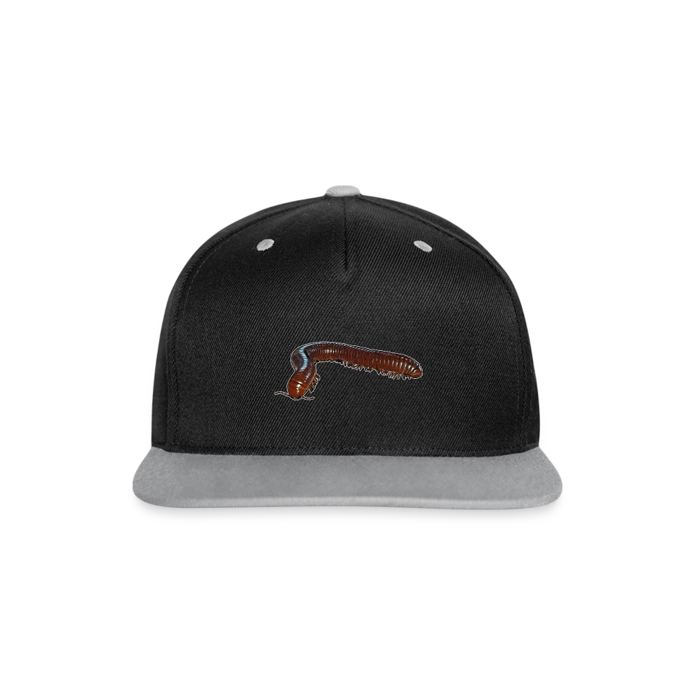 Cappy Kontrast Snapback Ophistreptus guineensis - Schwarz/Grau