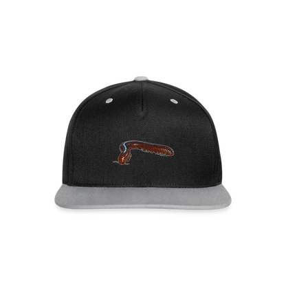 Cappy Kontrast Snapback Ophistreptus guineensis - Schwarz/Grau
