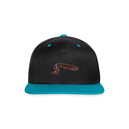 Cappy Kontrast Snapback Ophistreptus guineensis - Schwarz/Türkis