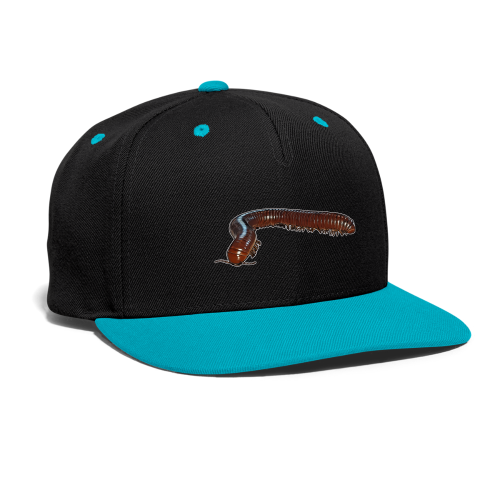 Cappy Kontrast Snapback Ophistreptus guineensis - Schwarz/Türkis