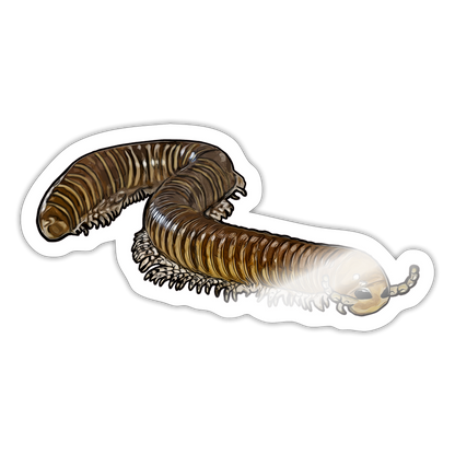 Sticker Telodeinopus aoutii - Weiß glänzend