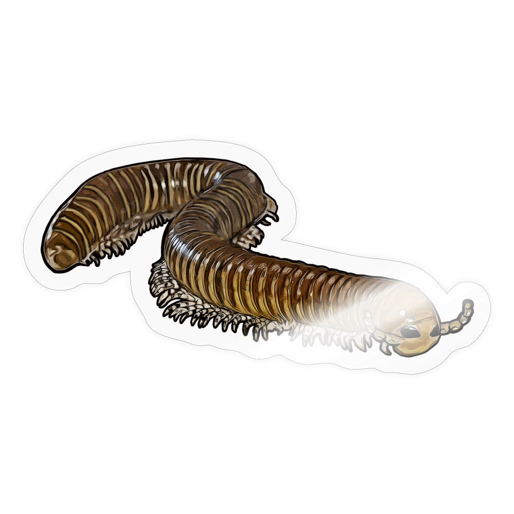 Sticker Telodeinopus aoutii - Transparent glänzend