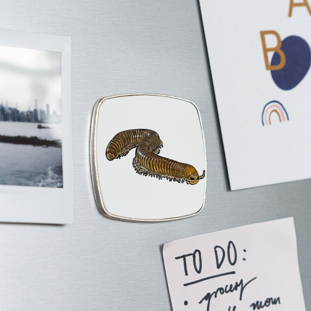 Kühlschrankmagnet eckig Telodeinopus aoutii - weiß