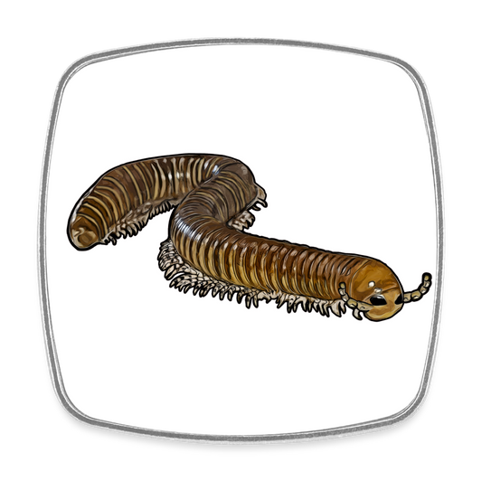 Kühlschrankmagnet eckig Telodeinopus aoutii - weiß