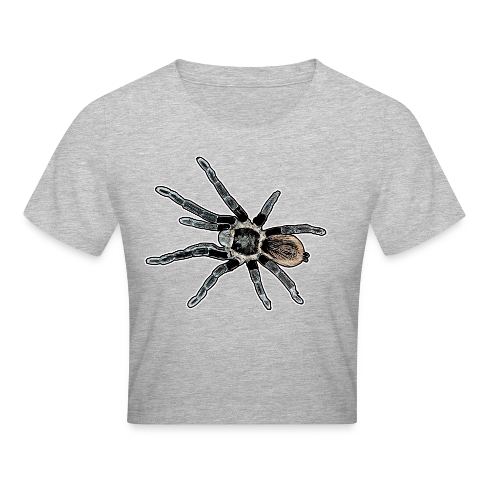 Crop T-Shirt Tliltocatl vagans - Grau meliert