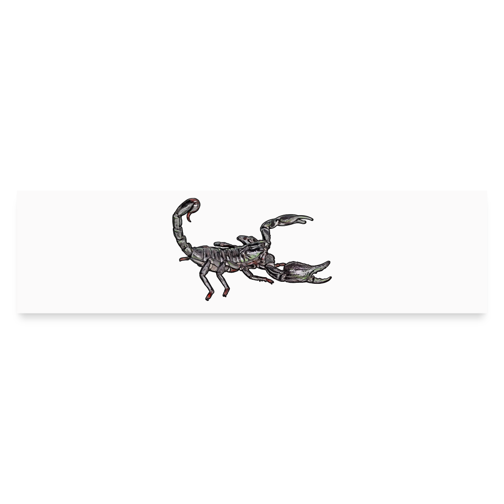 Auto-Aufkleber Heterometrus silenus - Mattweiß