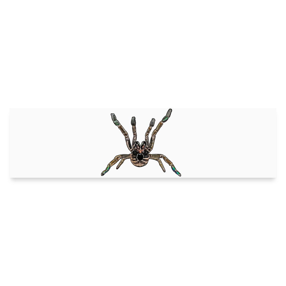 Auto-Aufkleber Pterinochilus murinus tcf - Mattweiß