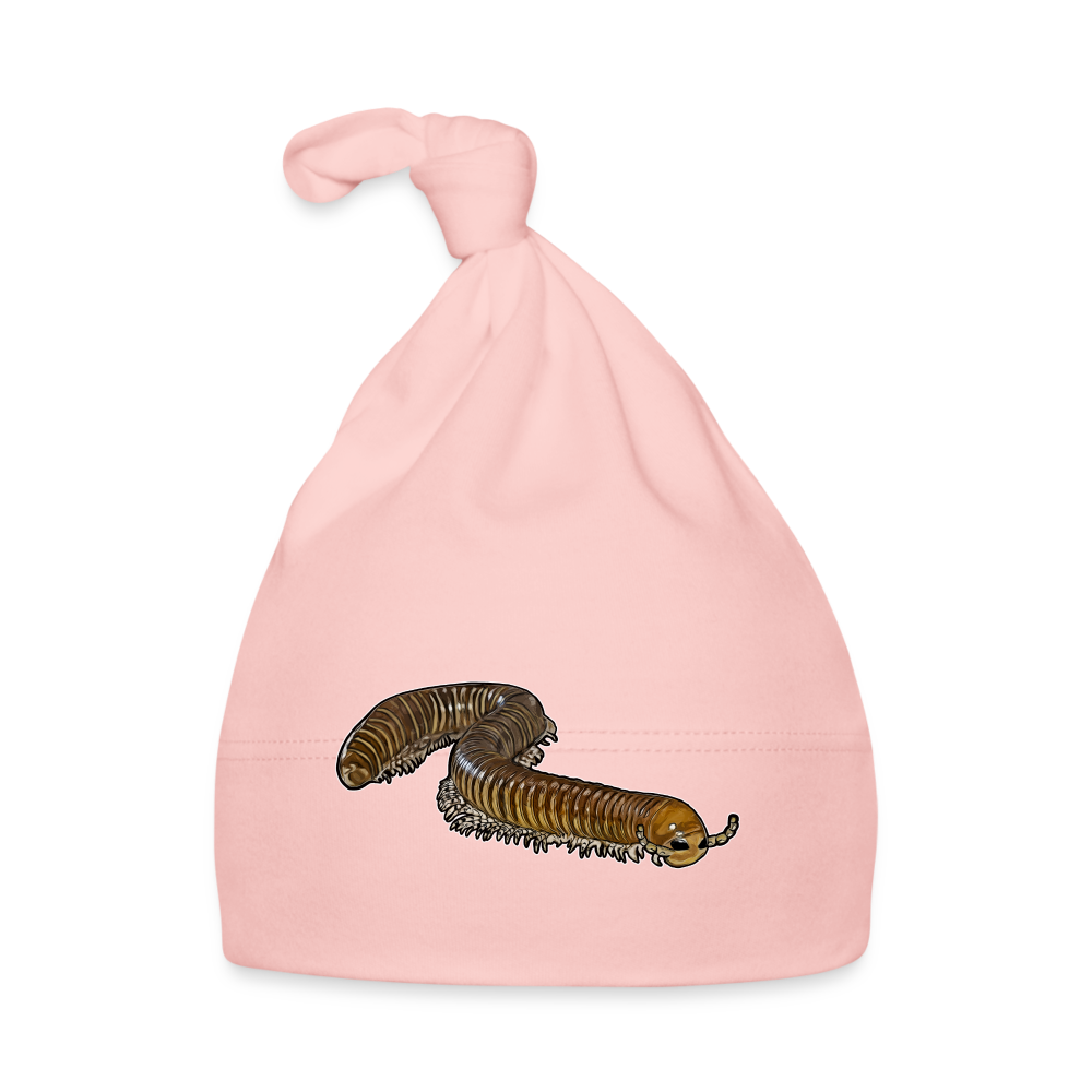 Baby Mützchen Telodeinopus aoutii - Rosa