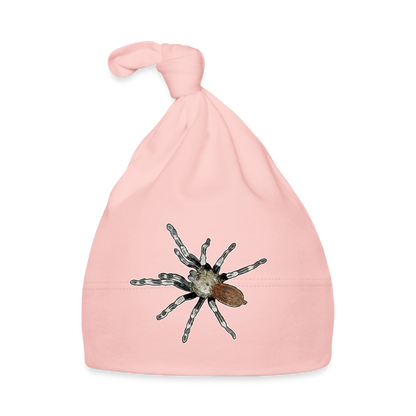 Baby Mützchen Nhandu chromatus - Rosa