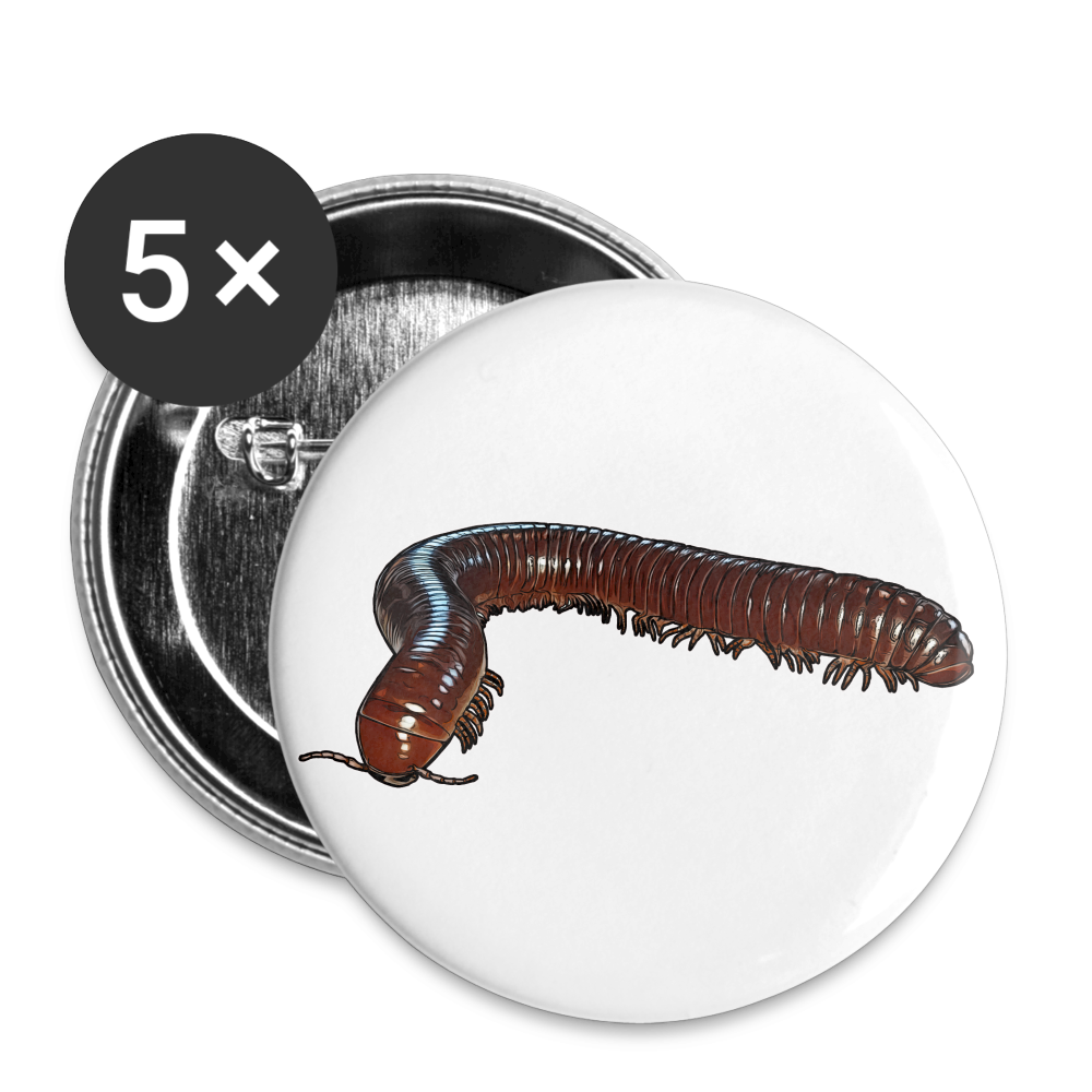 Buttons klein 25 mm (5er Pack) Ophistreptus guineensis - weiß