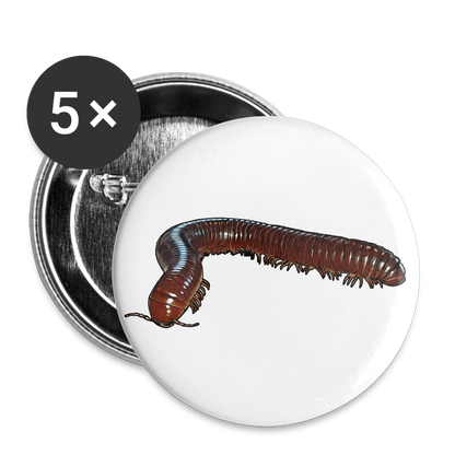 Buttons klein 25 mm (5er Pack) Ophistreptus guineensis - weiß