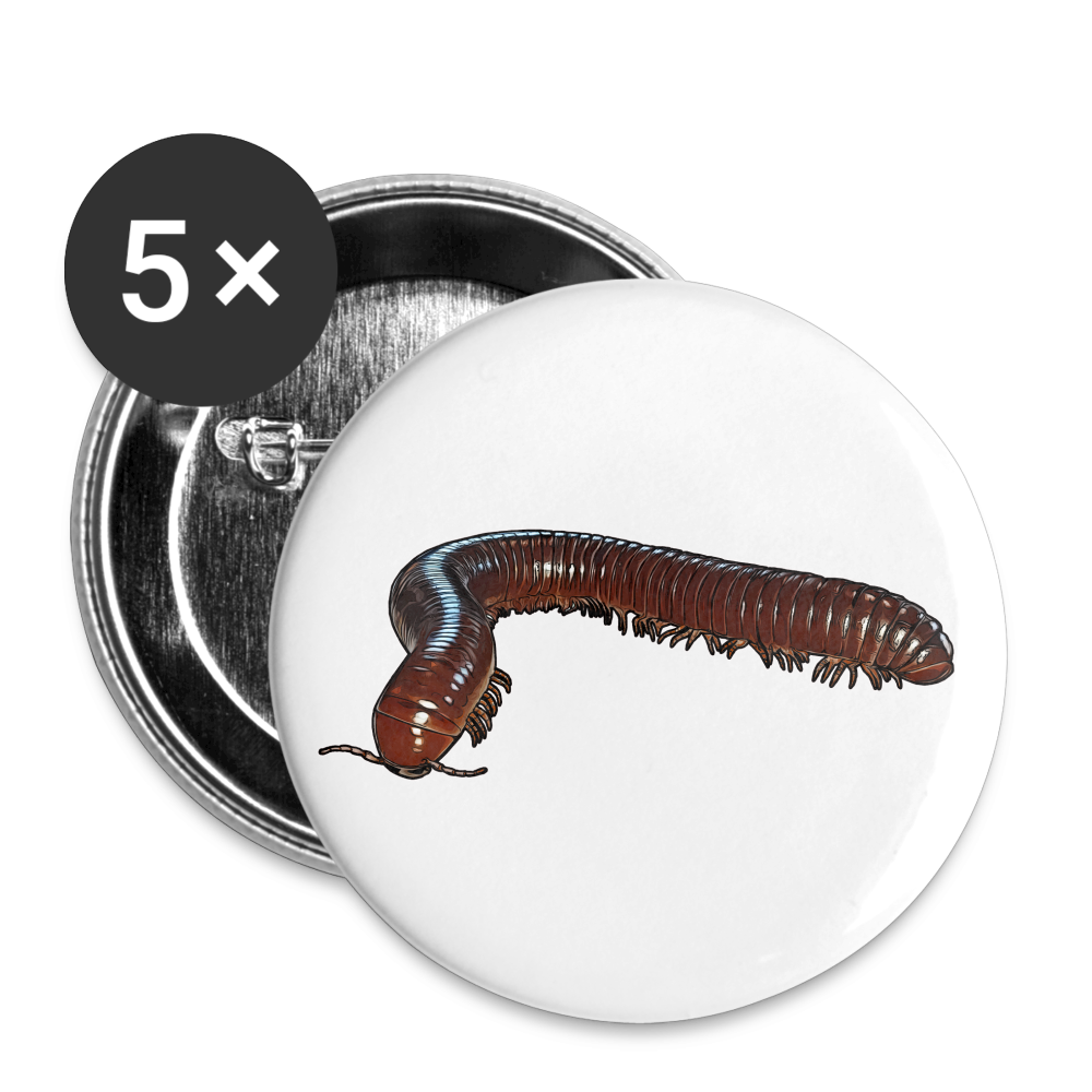 Buttons mittel 32 mm (5er Pack) Ophistreptus guineensis - weiß