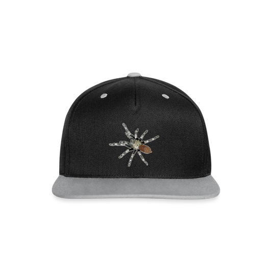 Cappy Kontrast Snapback Nhandu chromatus - Schwarz/Grau