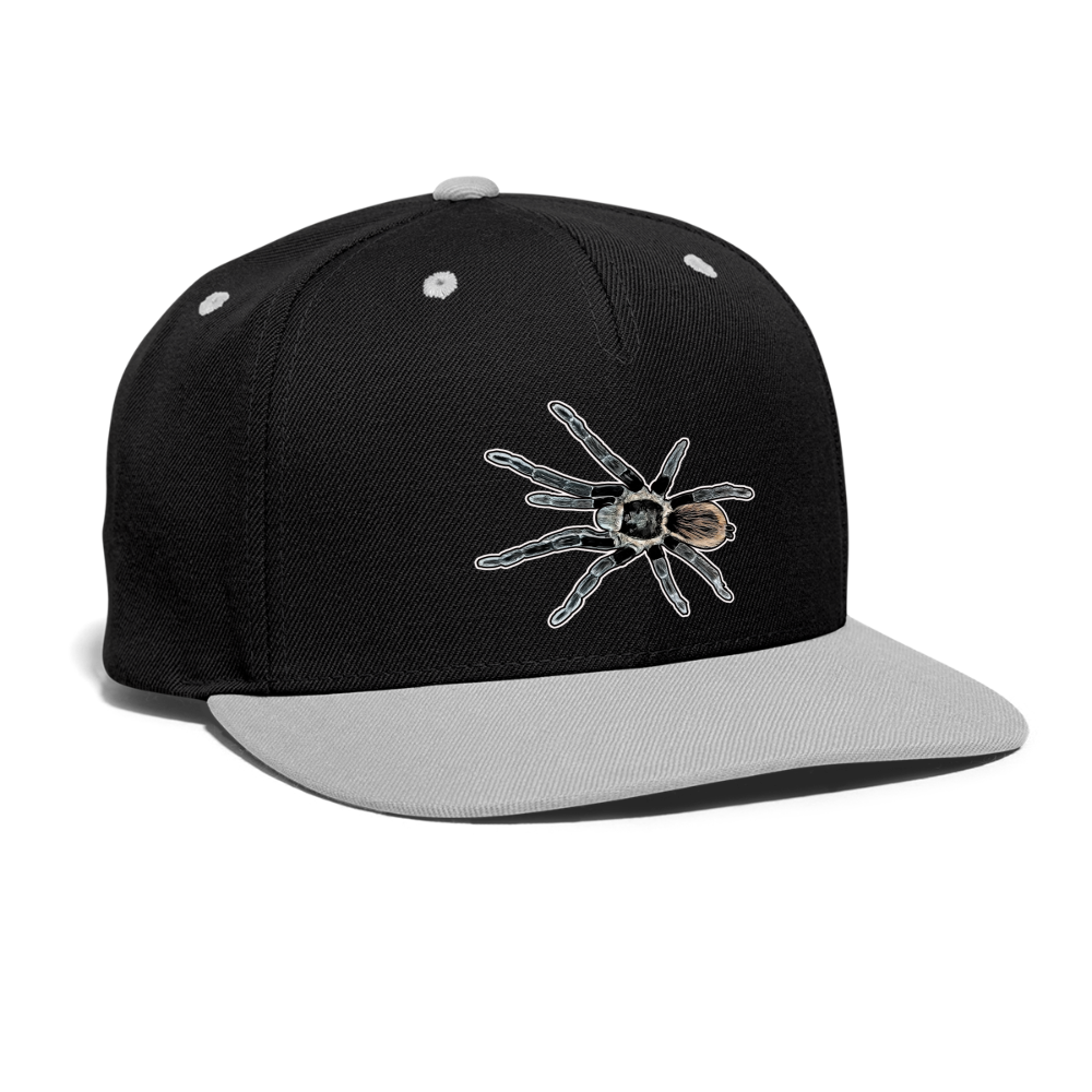 Cappy Kontrast Snapback Tliltocatl vagans - Schwarz/Grau