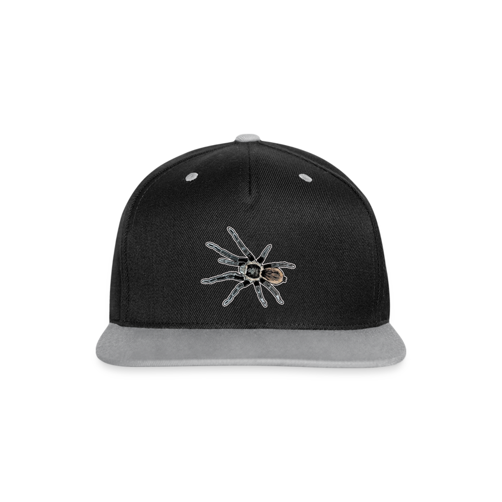 Cappy Kontrast Snapback Tliltocatl vagans - Schwarz/Grau