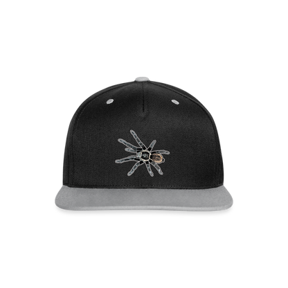 Cappy Kontrast Snapback Tliltocatl vagans - Schwarz/Grau