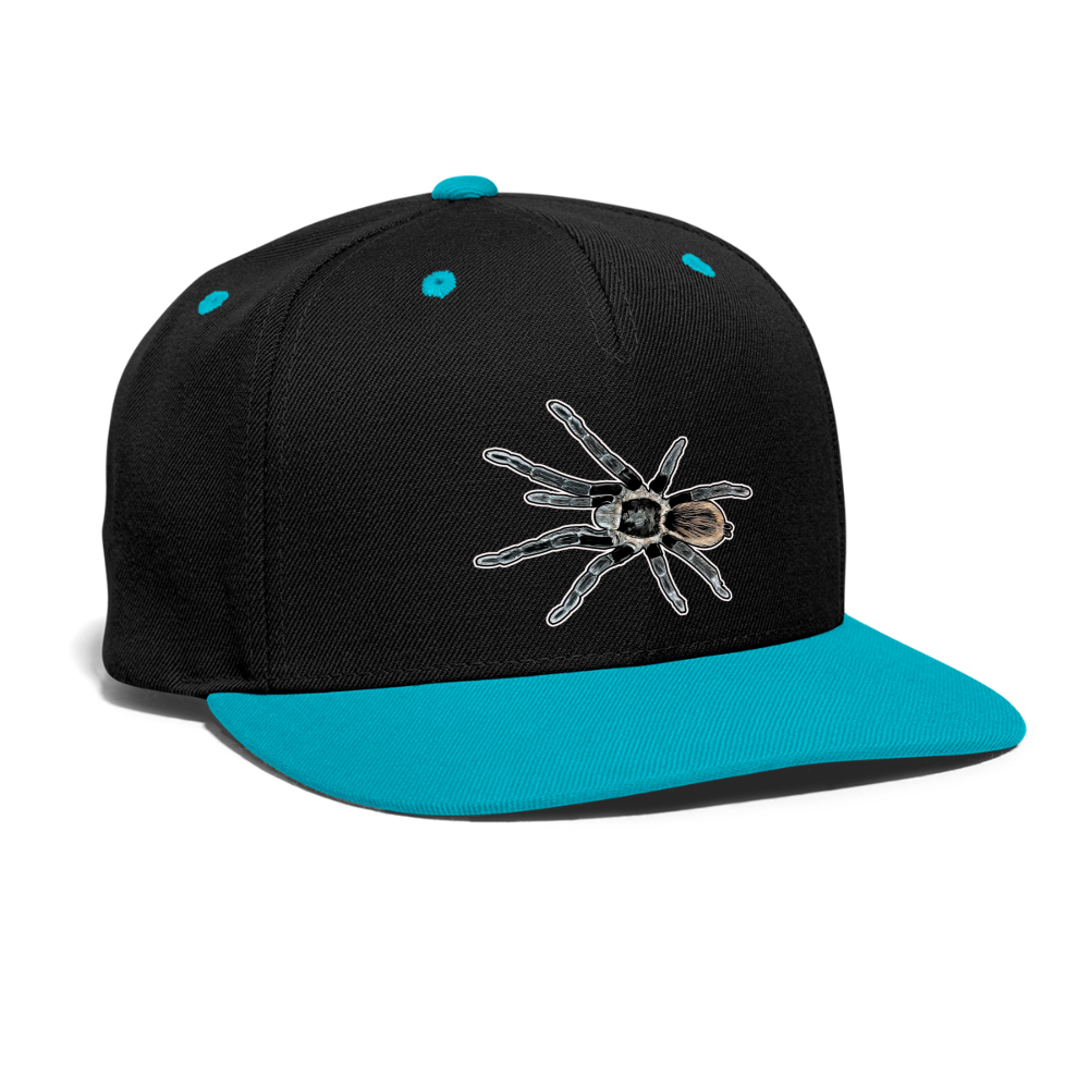 Cappy Kontrast Snapback Tliltocatl vagans - Schwarz/Türkis