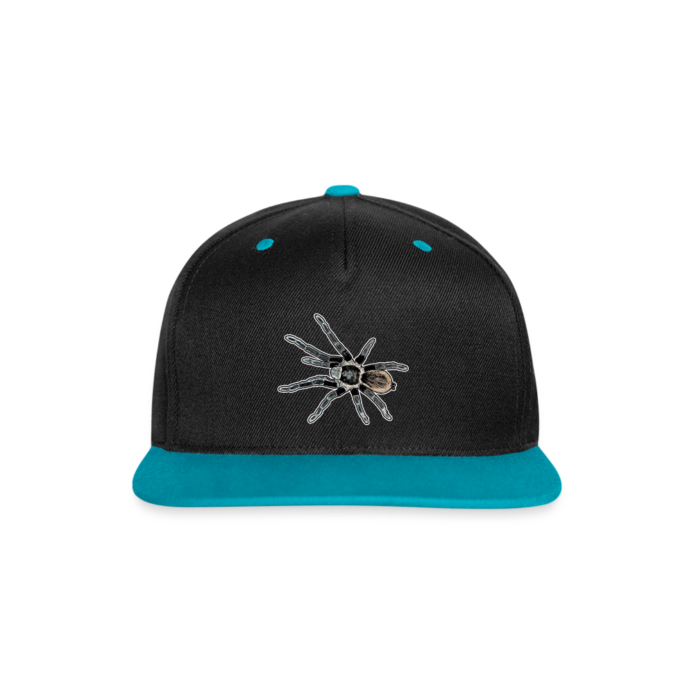 Cappy Kontrast Snapback Tliltocatl vagans - Schwarz/Türkis