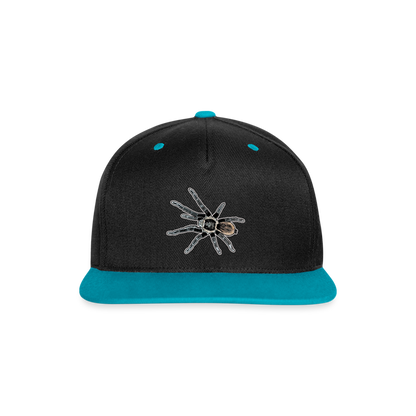 Cappy Kontrast Snapback Tliltocatl vagans - Schwarz/Türkis