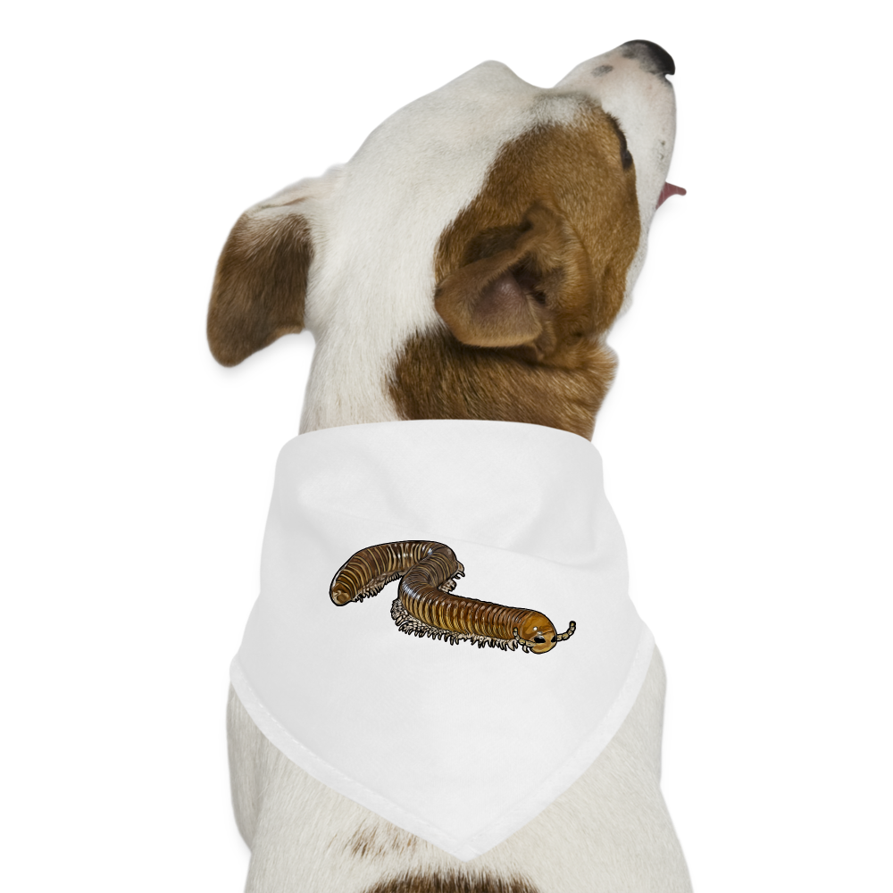 Hunde-Bandana Telodeinopus aoutii - weiß