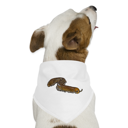 Hunde-Bandana Telodeinopus aoutii - weiß