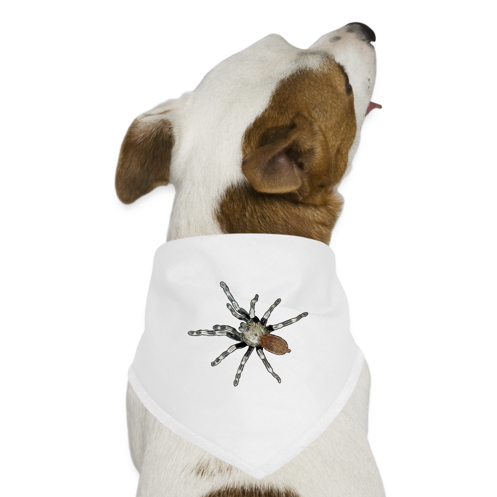 Hunde-Bandana Nhandu chromatus - weiß