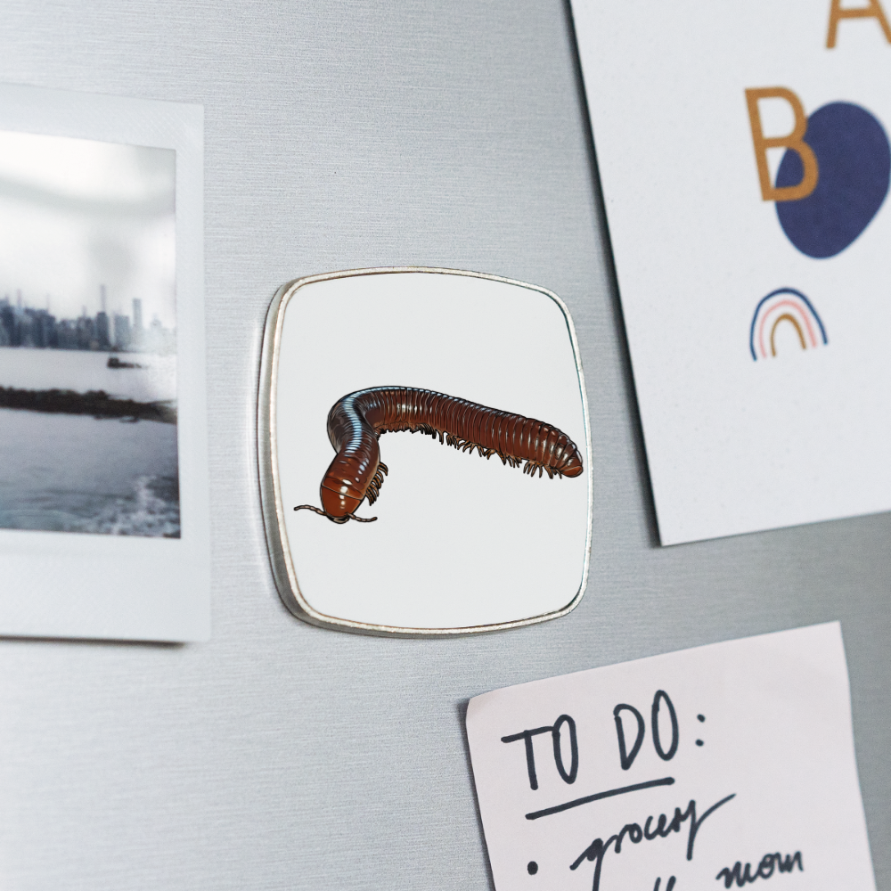 Kühlschrankmagnet eckig Ophistreptus guineensis - weiß