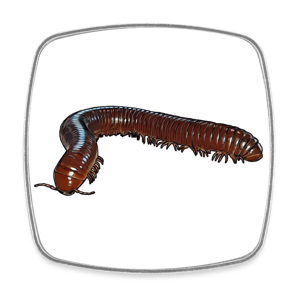 Kühlschrankmagnet eckig Ophistreptus guineensis - weiß