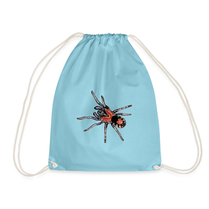Turnbeutel Cyriocosmus elegans - Aqua