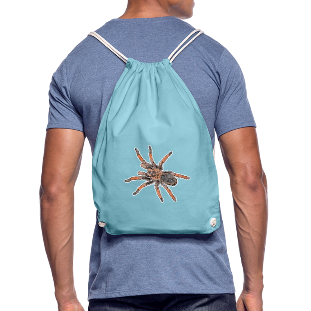 Turnbeutel Brachypelma emilia - Aqua