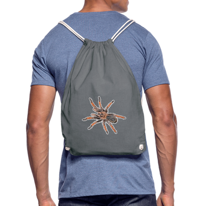 Turnbeutel Brachypelma emilia - Grau