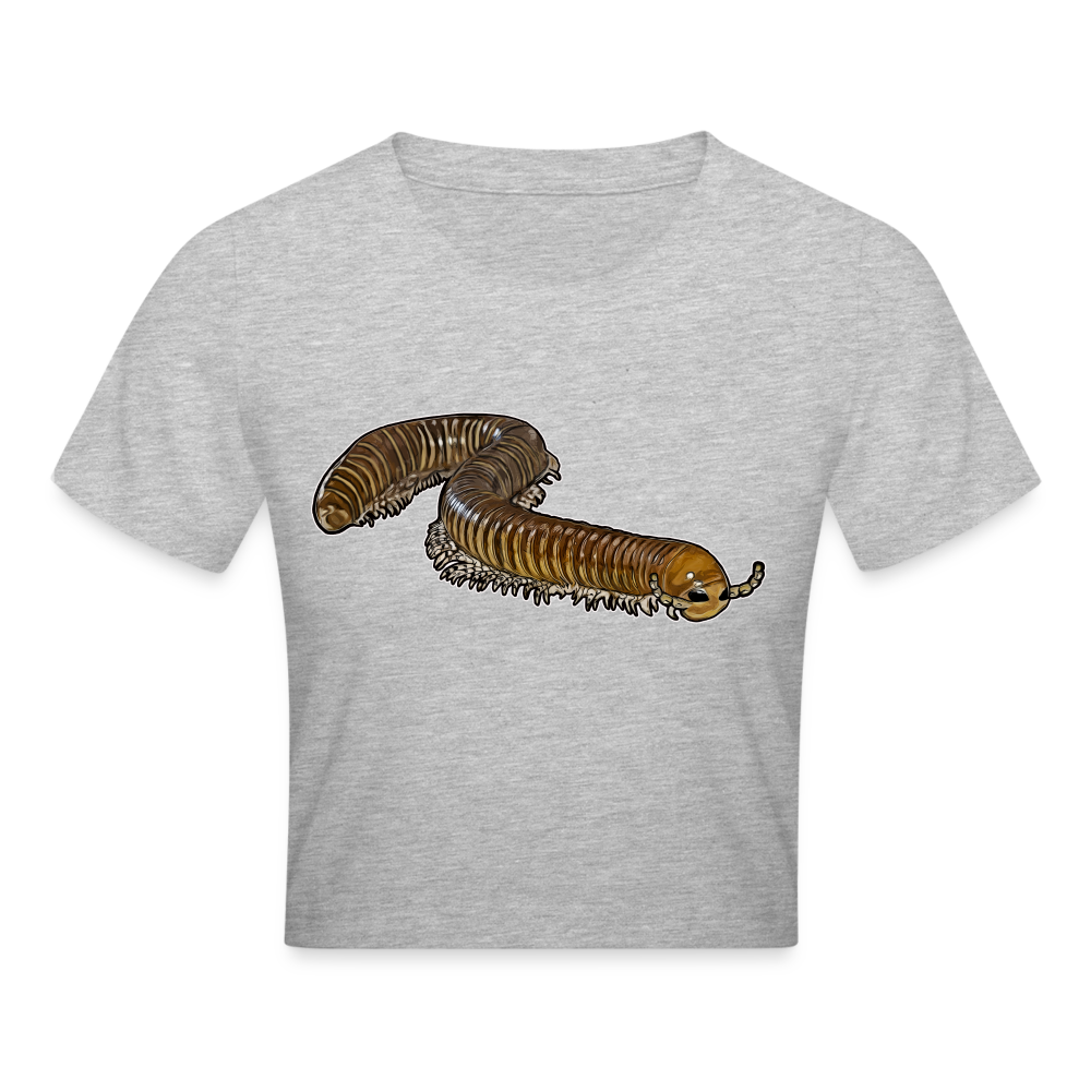 Crop T-Shirt Telodeinopus aoutii - Grau meliert