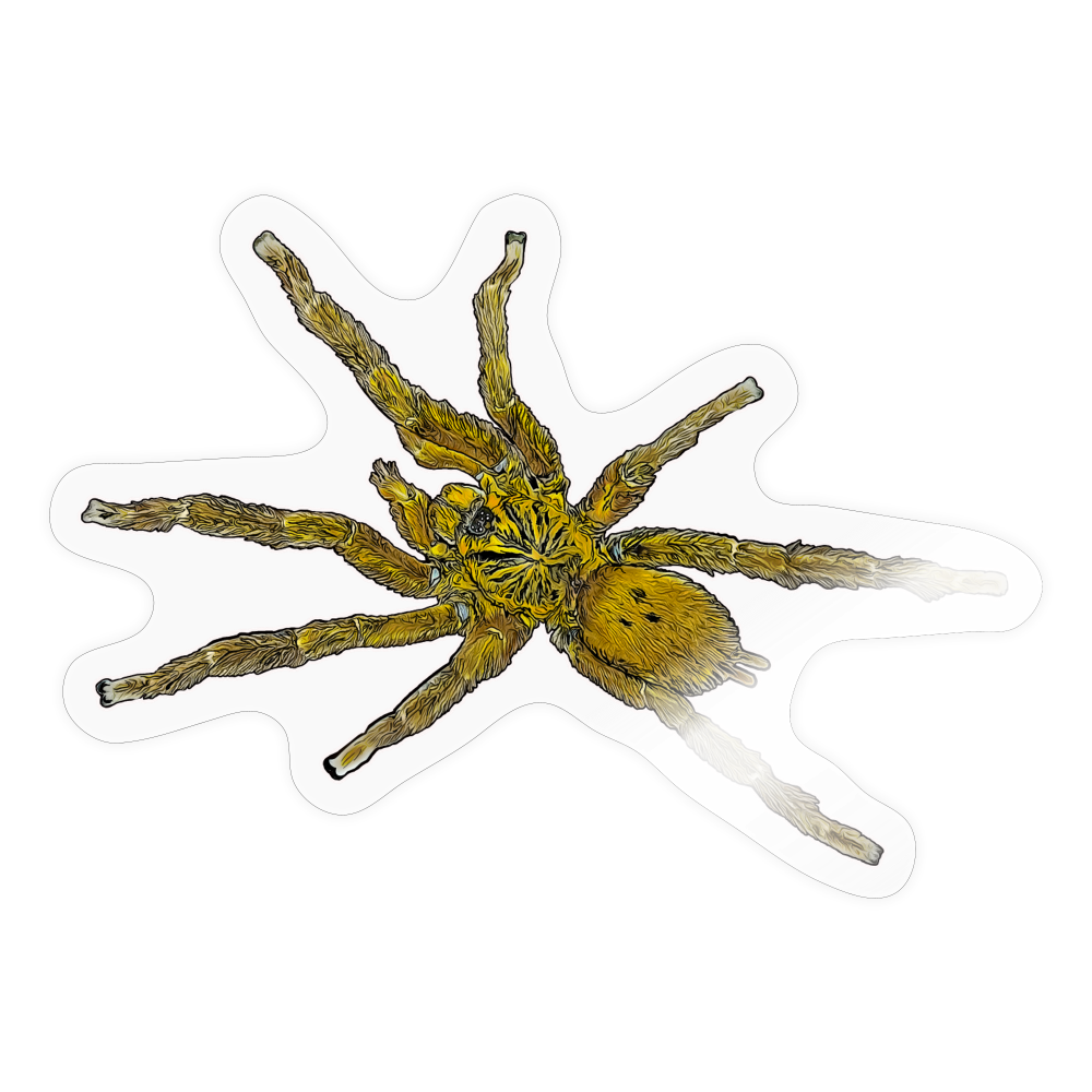 Sticker Pterinochilus murinus umv - Transparent glänzend