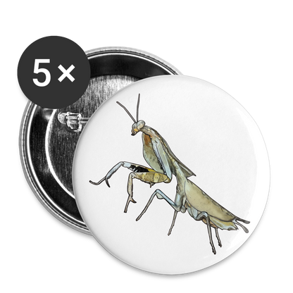 Buttons groß 56 mm (5er Pack) Deroplatys truncata female - weiß